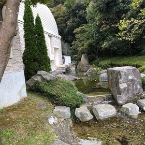 Meet your Posher, Cole